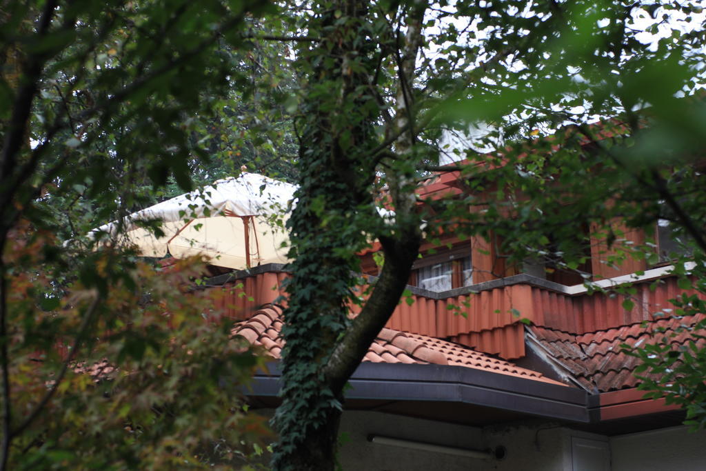 App Carolina Apartman Creazzo Szoba fotó